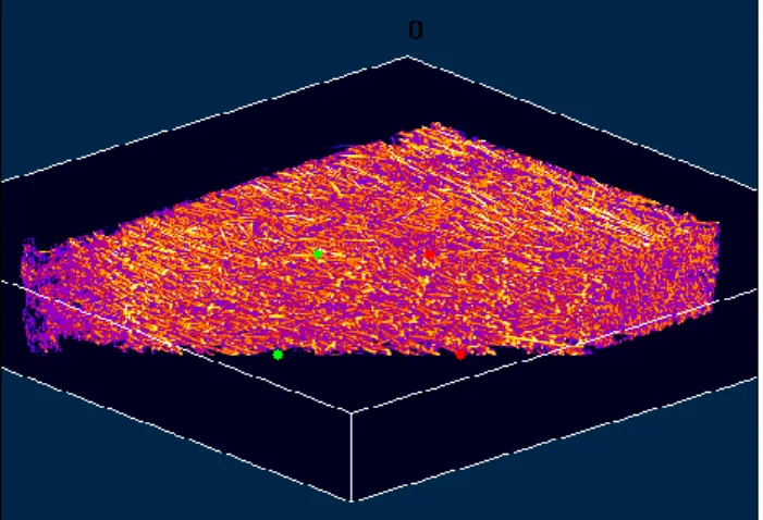 Figure 1. An example of an overall view obtained by tomography 3- 3-D reconstruction. 