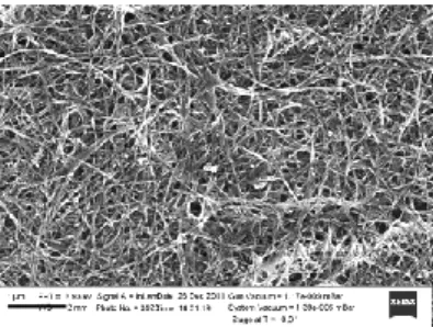 Fig. 2. Image of individual  nanotube ropes and bundles in  the f -SWCNT product (SEM)