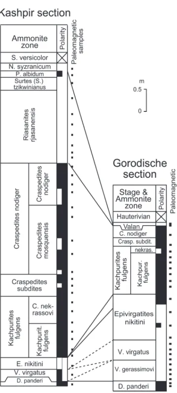 Fig. 2. Magnetostratigraphic correlation of  Middle Volgian – Ryazanian in the studied  sections (dashed line - estimated)