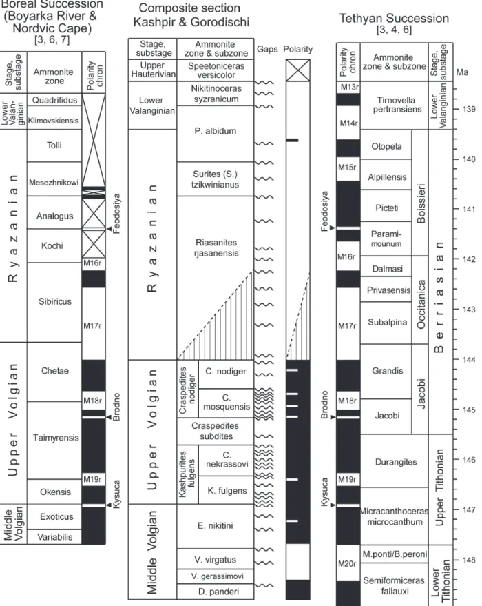 Fig. 3. Magnetostratigraphic correlation of the Jurassic-Cretaceous boundary 