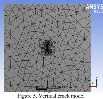 Figure 5. Vertical crack model 