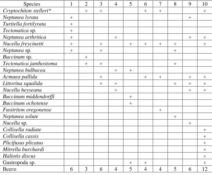 Table 1. List of species Loricata* and Gastropoda from Ajnu sites of Sakhalin  