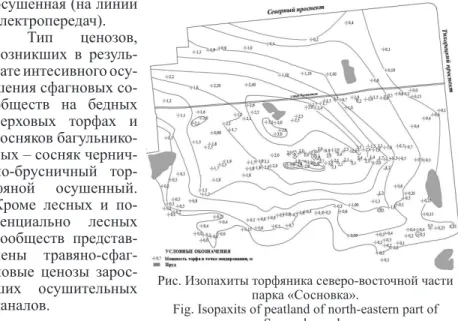 Fig. Isopaxits of peatland of north-eastern part of  Sosnovka park.