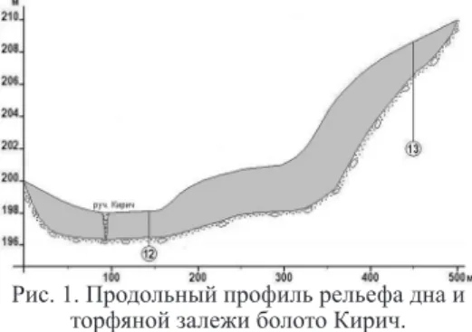 Fig. 2. Diagram of the botanical composition and degree of decomposition of peat of the  spruce shrub moss community (well 13).