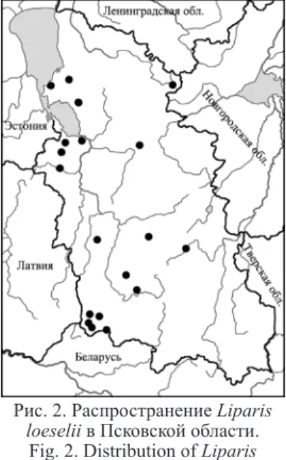 Fig. 2. Distribution of Liparis  loeselii in Pskov region.