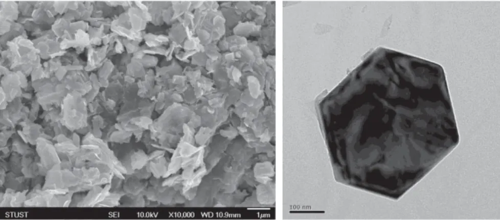 Fig. 1. The scanning (left) and transmission (right) electron microscopy images   of the Fe 1-x Cr x S nanocomposites