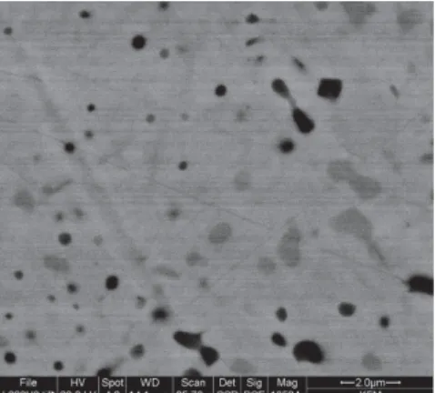 Fig. 1 – SEM image of the L 200N  steel. Dark precipitates represent  regions with higher Cr content