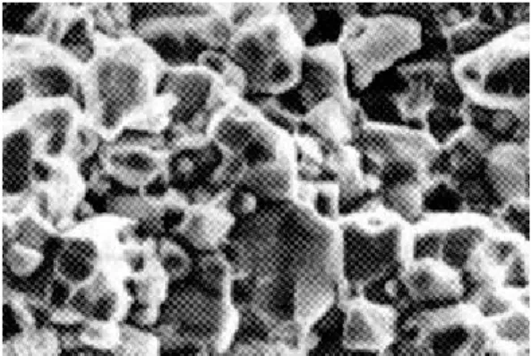 Fig. A1 shows us the microstructure of a metal oxide varistor, as observed on the  electronic microscope