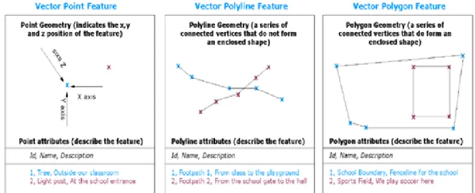 Fig. 1: Tipuri de vertecși: punct, polilinie, poligon 