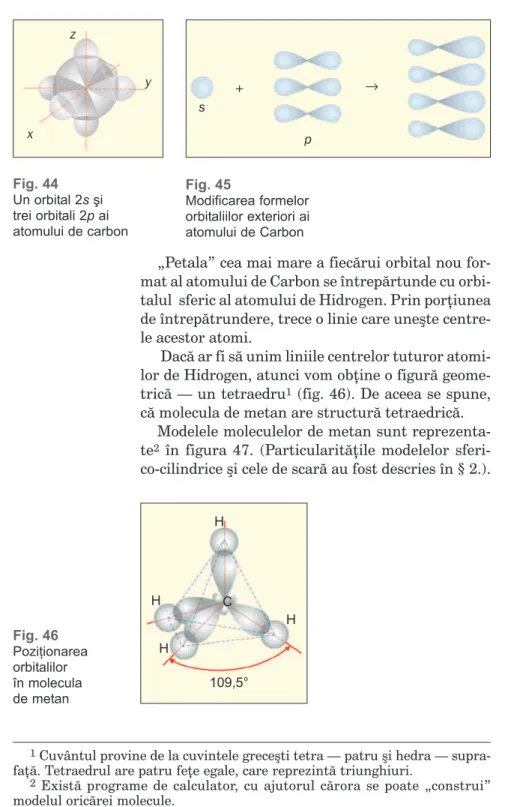 Fig. 44 Un orbital 2s şi trei orbitali 2p ai atomului de carbon
