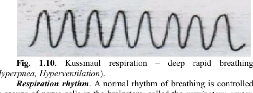 Fig. 1.9. Bradypnea – slow breathing.  