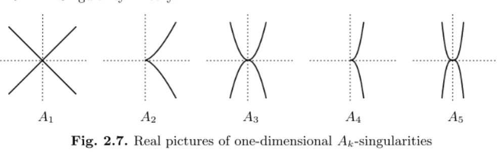Fig. 2.7. Real pictures of one-dimensional A k -singularities