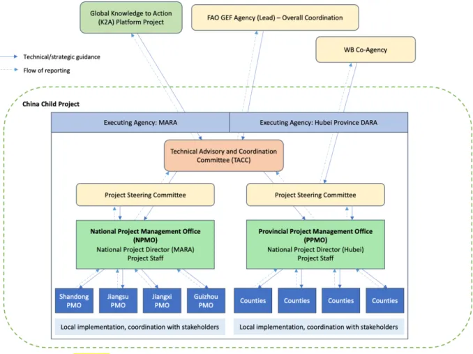 Figure 8: Project organization structure of the China child project