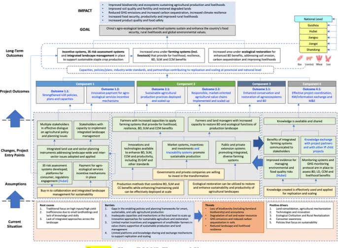 Figure 6: China FOLUR Theory of Change