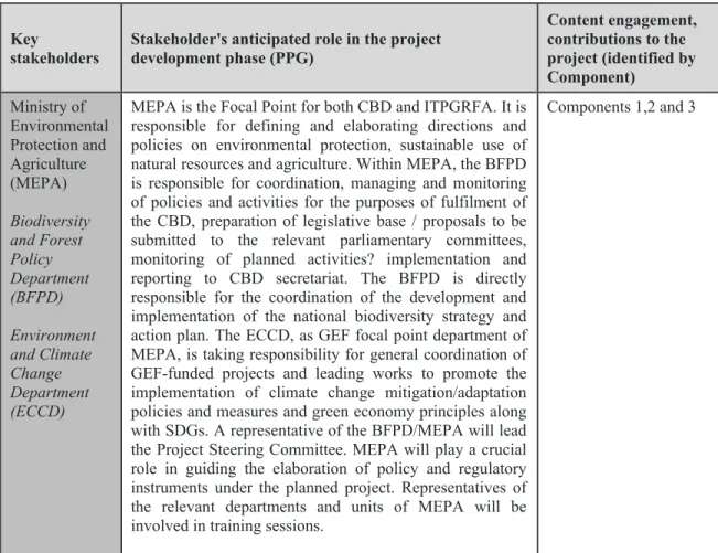 Table 4 below describes detailed functions and role of main stakeholders in project execution, as well  as in project planning and implementation process.