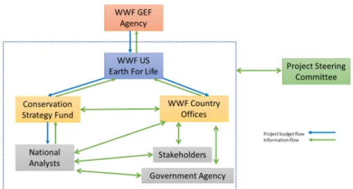 Figure 1. Executing structure