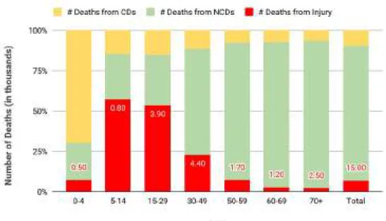 Figure 2. Causes of Death in the DPRK by Age [Data Source: WHO]