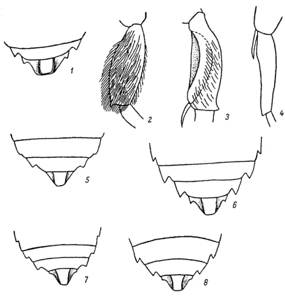 Fig. 168. Apoïdes - Anthophorides (Originaux)