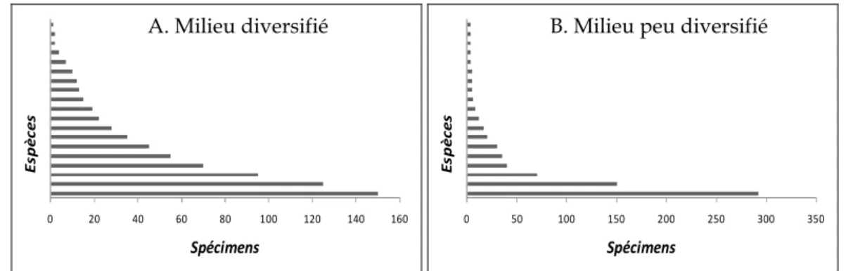 Figure 9. Comparaison de la diversité de deux stations, la station A présente une diversité  spécifique élevée, la B une diversité spécifique faible (d’après Rasmont et al., 1990)