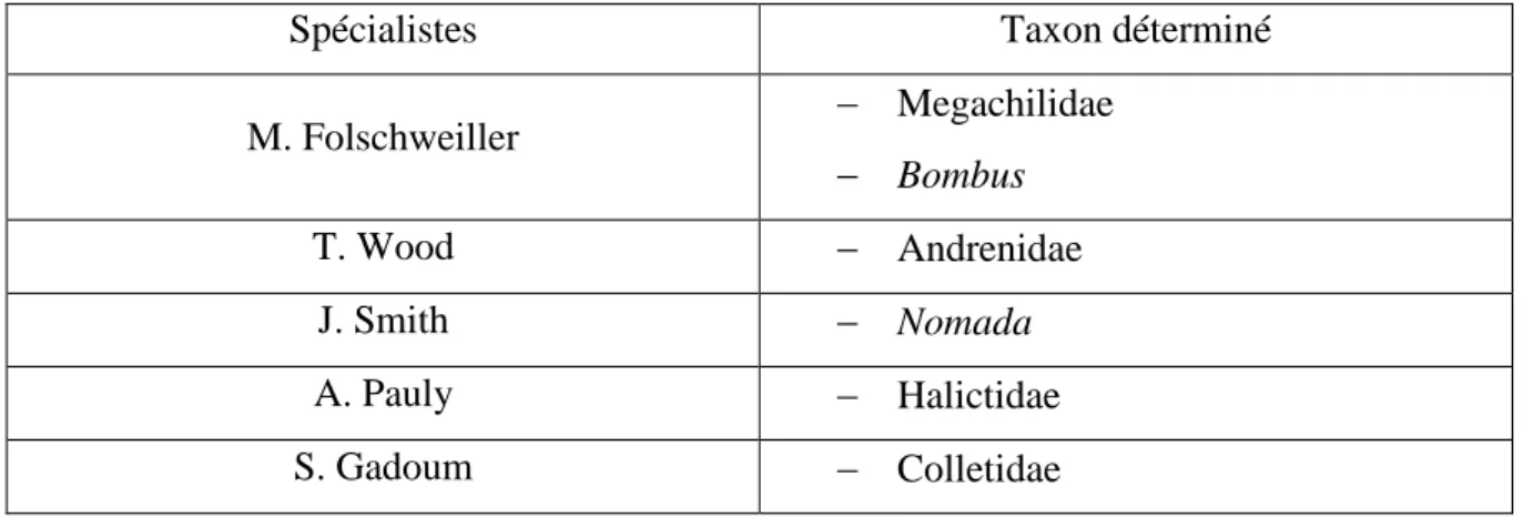 Tableau 3 : Liste des spécialistes et taxons déterminés associés 