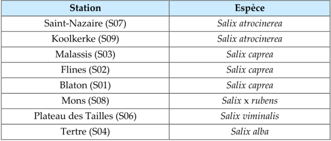 Table 2 : Espèces de Salix récoltées par station. Les codes relatifs aux stations renvoient à l’annexe 1
