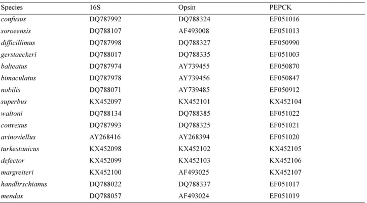 TABLE 4.  GenBank accession numbers for gene sequences with the species’ names listed according to this study  (excluding COI barcodes in BOLD).