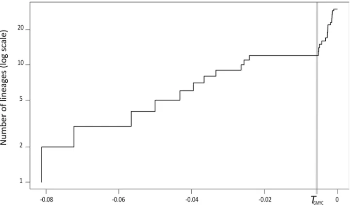 FIGURE 10. Plot of (y axis) the number of lineages in the BEAST tree (Fig. 11) of unique COI haplotypes excluding  outgroups on a log scale against (x axis) time as substitutions per nucleotide