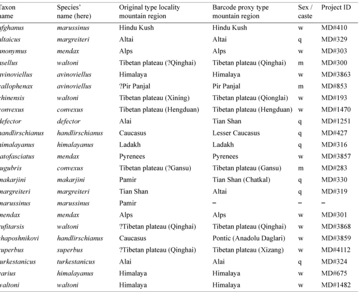 TABLE 1.  List of available names in the species group for named taxa of the subgenus  Mendacibombus  (for details of  references, see the text) ,  together with informally associated barcoded proxy type specimens