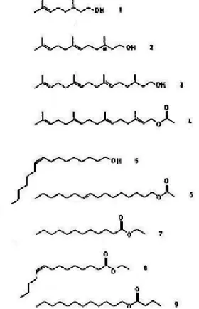 Figure 15 : Diversité dans la nature chimique des molécules phéromonales. 1-4 : terpénoïdes ; 5 :  alcool ; 6 : acétate ; 7-9 : esters (d’après Bergström et al., 1981)