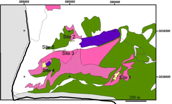 Figure 9. Localisation des différents sites étudiés (carte originale). Carte géoréférencée en Lambert 3 Sud