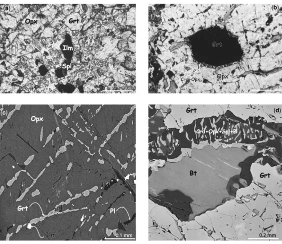 Fig. 4. Representative reaction textures of sillimanite free-metapelites. (a) Photomicrograph showing two successive parageneses (plane-polarized light)
