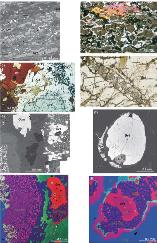 Fig. 3. Representative reaction textures of orthopyroxene-free metapelites (a –d) and orthopyroxene-bearing metapelites (e–h)