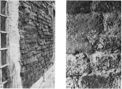 Fig. 2.17 (a) Rising damp along the wall transports soluble salts.  During the drying  phase soluble salts crystallize on the surface causing “efflorescence”
