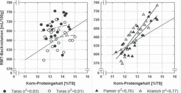 Abbildung 3: Beziehung zwischen Kornproteingehalt und Backvolumen in zwei unterschiedlichen Sortentypen (Quelle: Frau  S