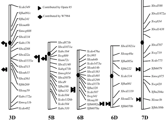 Figure 2: Selected chromosomes carrying loci determining seedling growth traits (modifi  ed after LANDJEVA et al