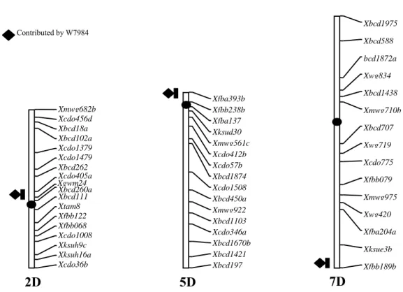 Figure 3: Chromosomes carrying loci determining post anthesis drought tolerance/stem reserve mobilisation (SALEM et al