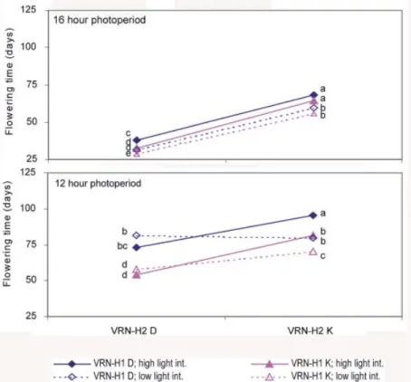 Figure 2: Effects of photoperiod (12, 16 hr) and light intensity (high: 340 μmol m - ²s -1 , low: 