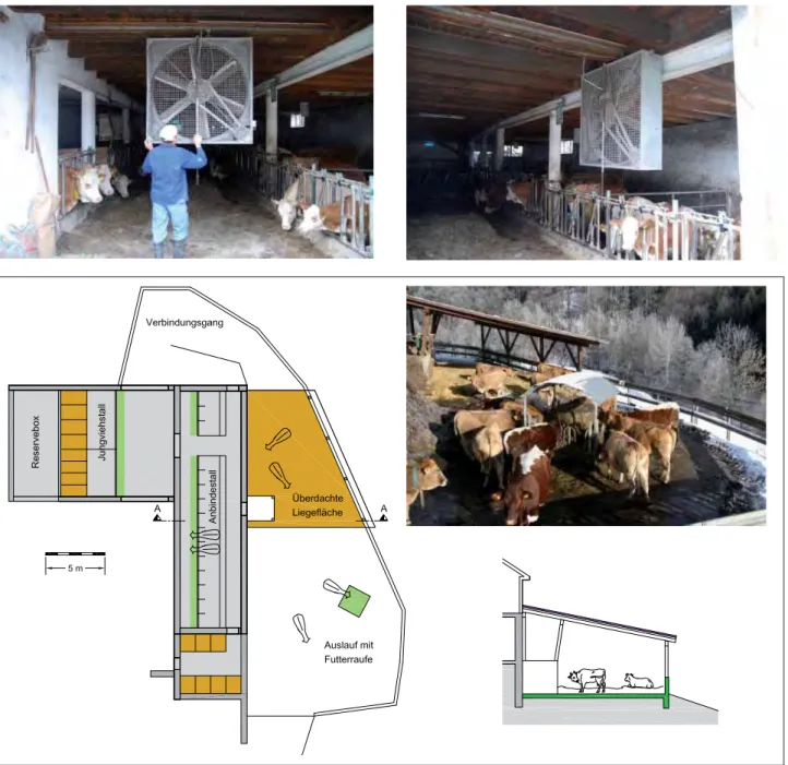 Abbildung 6: Improvisierter Zubau mit Strohliegefl äche und Raufenfütterung am Auslauf für 15 Kühe