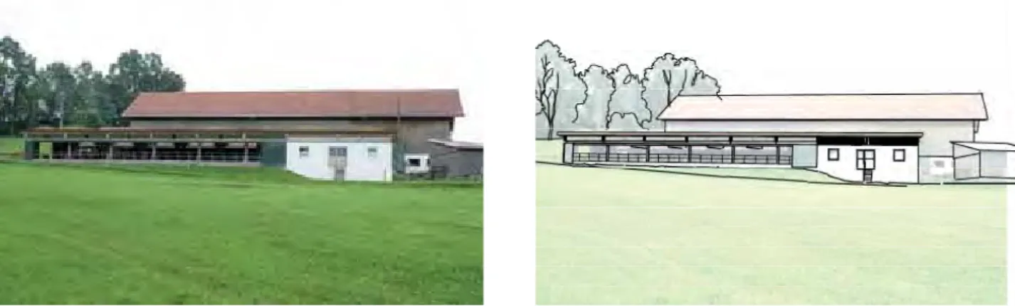 Abbildung 2: Analyse der gestaltgebenden Merkmalen am Standort (Gelände, Gebäude, Wände/ Dächer, Vegetation)