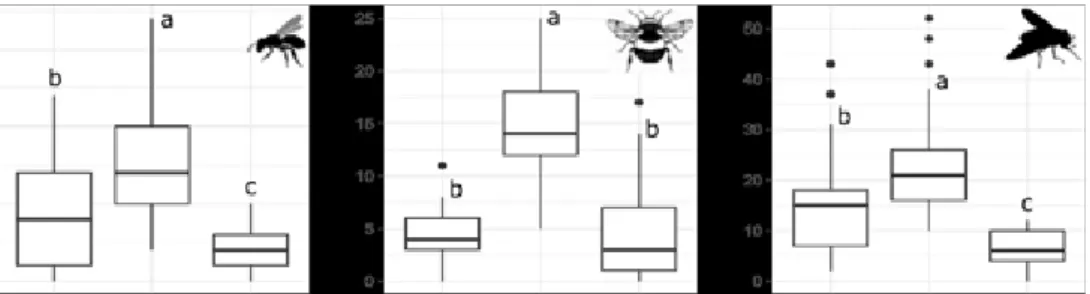 Abbildung 1. Individuenzahl von Wildbienen (links), Hummeln (Mitte) und Schwebflie- Schwebflie-gen (rechts) in alten Wiesen (OG), neu angelegten Wiesen (NG) und ÖPUL-Flächen  (SG)