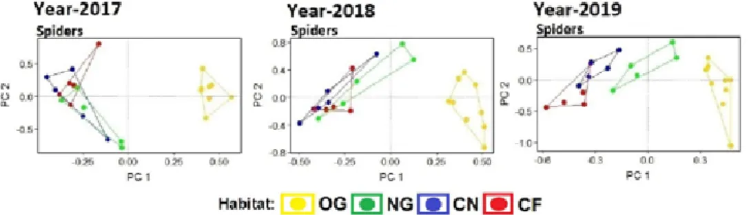 Abbildung 2. Ähnlichkeit der Artengemeinschaften von Spinnen in alten Wiesen  (OG=gelb), neu angelegten Wiesen (NG=grün), Wintergetreide nah (CN=blau) und  fern (CF=rot) von NG in den Jahren 2017-2019.Projektpartner