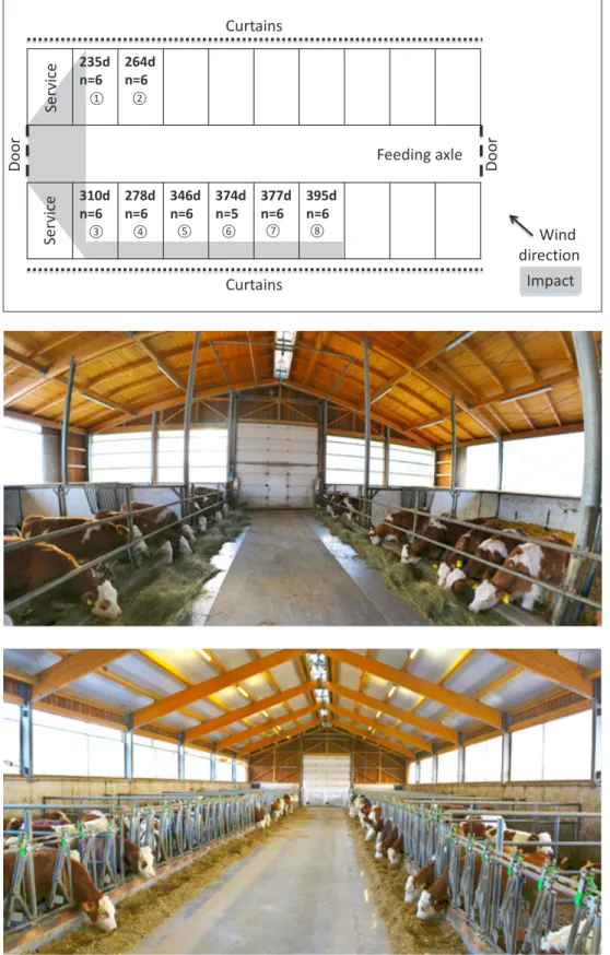 Figure 2: Floor plan of the  fattening barn