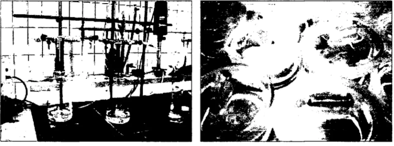 Abbildung 15: links: Uberdruckfiltrationsgerät    Abbildung 16: Filter im Wägeglas (nach öffnen  des Exikkators) 