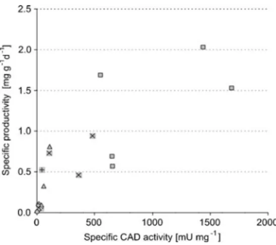 Fig. 4 Specific itaconic acid productivity q P (in mg itaconate (g cell dry weight) −1 (day) −1 )) of A