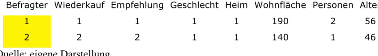 Tabelle 2: Ausschnitt eines codierten Fragebogens 