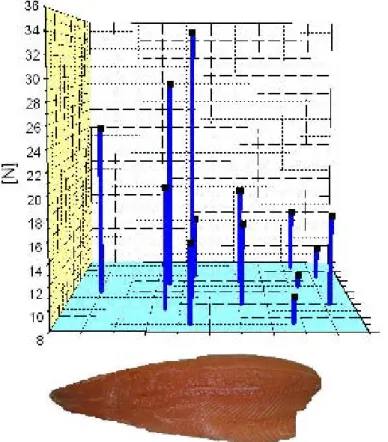 Abbildung 39: Fmax des Tiefkühlfisches mit Warner Bratzler (türkise Fläche beinhaltet die Ortskoordina- Ortskoordina-ten der genommen Proben innerhalb eines Filets) 