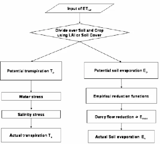 Figure 14  Partitioning  of  evapotranspiration  over  crop  and  soil  (Kroes  and  van  Dam  2003) 