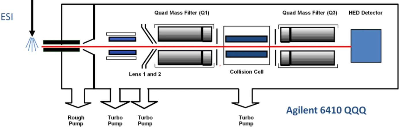 Figure 8: Working Principle of Agilent G6410 Triple Quadrupole Mass Spectrometer 