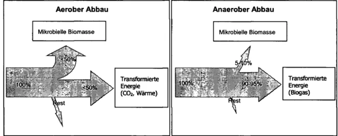 Abb. 1-1: Vergleich der Energietransformation vom aeroben und anaeroben Abbau (BRAUN,  2001) 