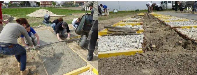 Figure 14 Construction of experiment: smoothing the concrete top layer (a) and planting of willow and  poplar cuttings (b) (Müllner, 2016)